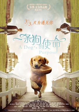 叶子楣代表咋